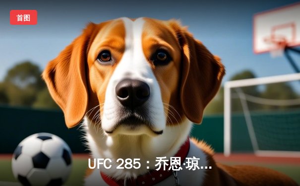 UFC 285：乔恩·琼斯强势回归，首回合降服盖恩加冕重量级冠军