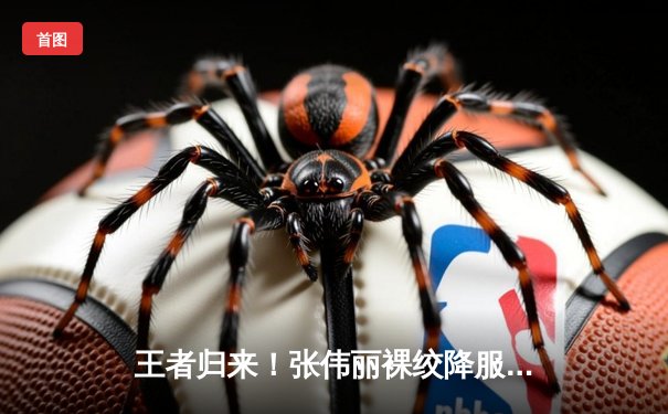 王者归来！张伟丽裸绞降服乔安娜 卫冕UFC草量级金腰带