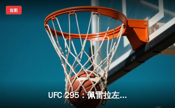 UFC 295：佩雷拉左勾拳终结普罗哈兹卡，加冕轻重量级新王